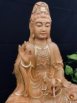 台灣檜木(按金)A款