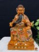 香樟(彩金)