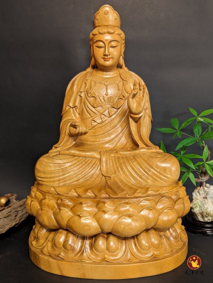 A級香樟B款