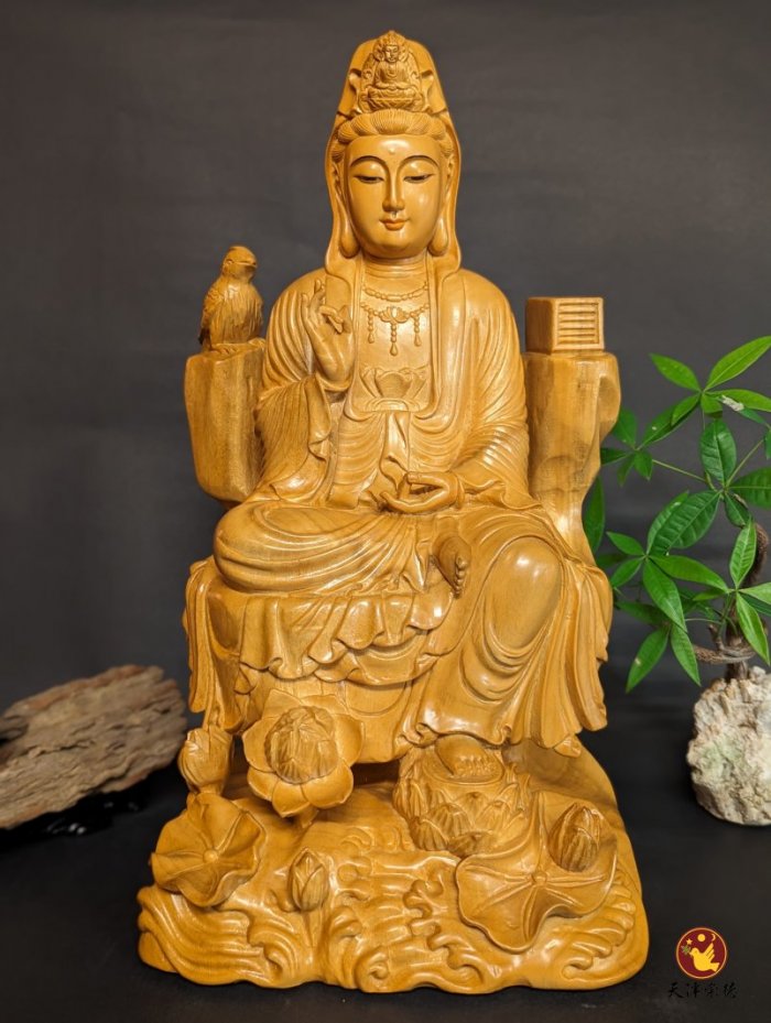 A級香樟B款