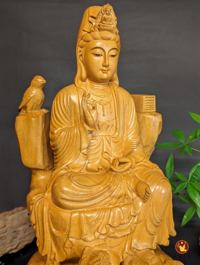 A級香樟B款