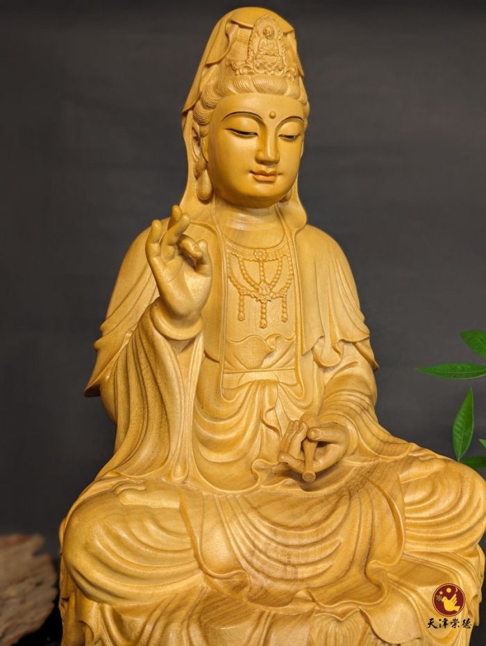 A級香樟C款