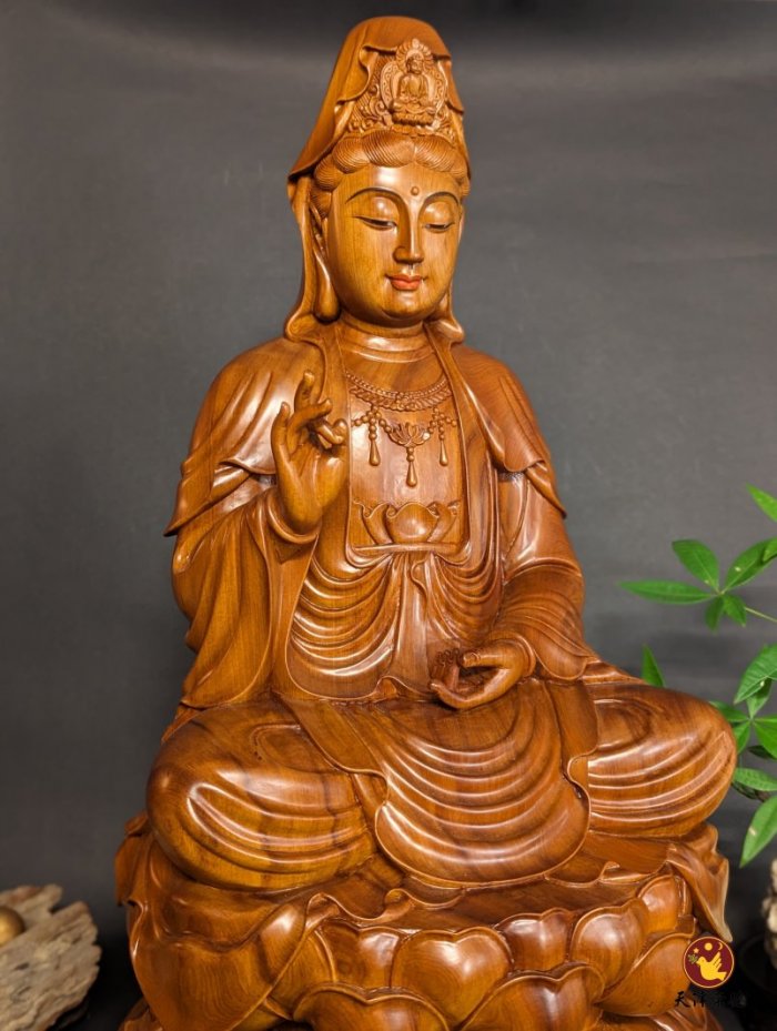 台灣梢楠D款