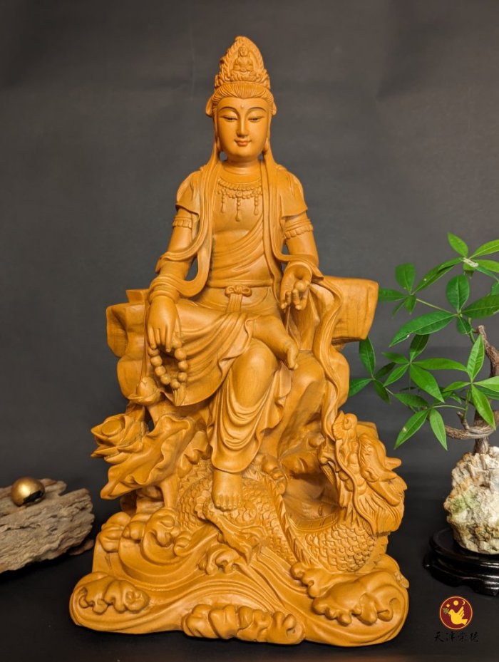 香樟B款