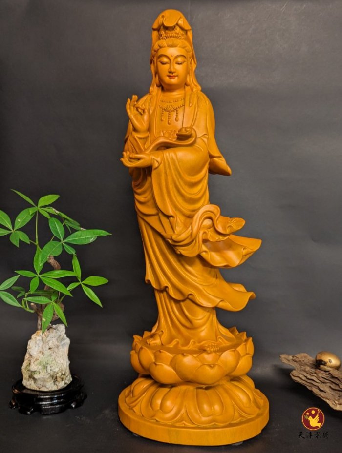 香樟C款