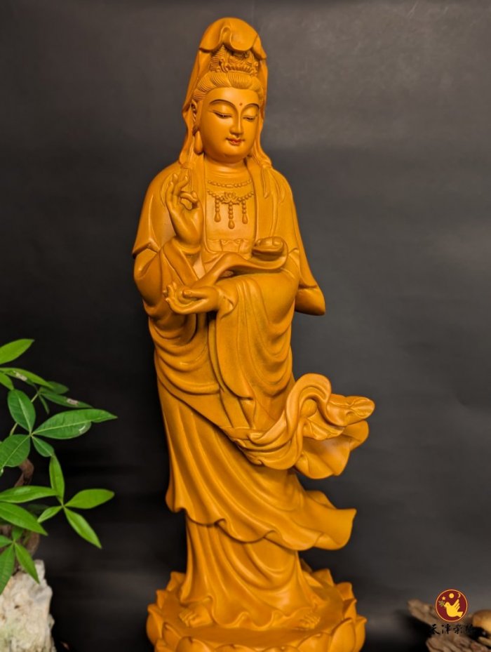 香樟C款