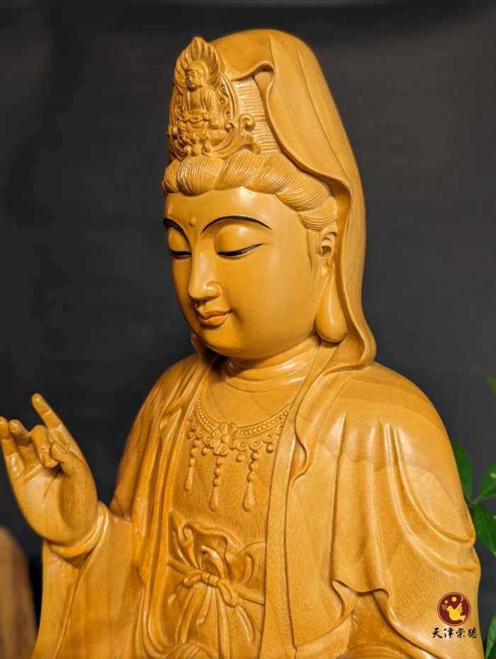 香樟