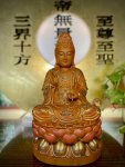 香樟-彩金