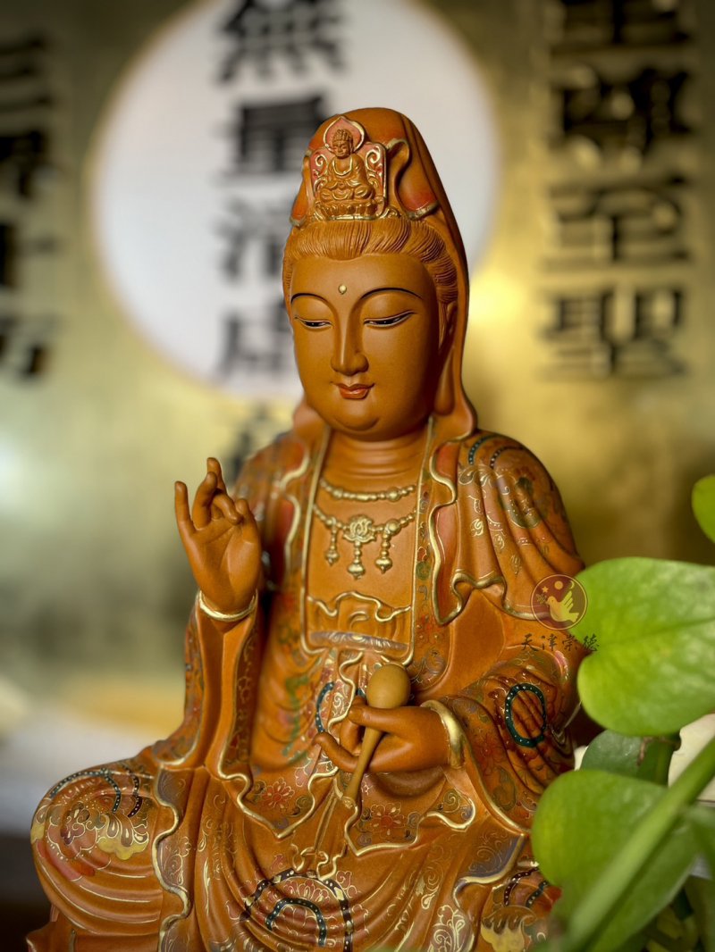香樟-彩金