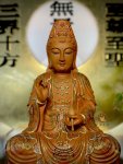 香樟-彩金