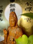 香樟-彩金